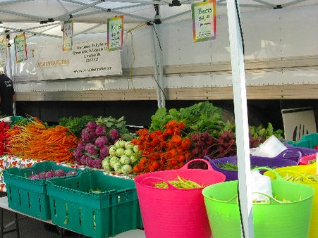 Screen Shot 2021-01-29 at 1.06.47 PM