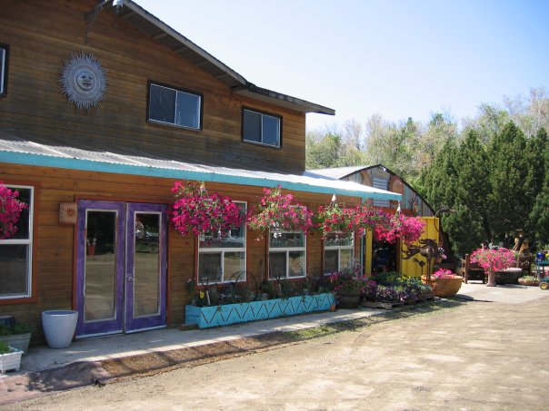 190638_5391721325_3463_n